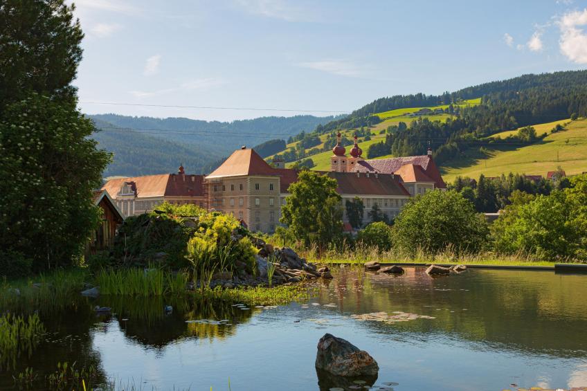 Winzerchalet - foto 28