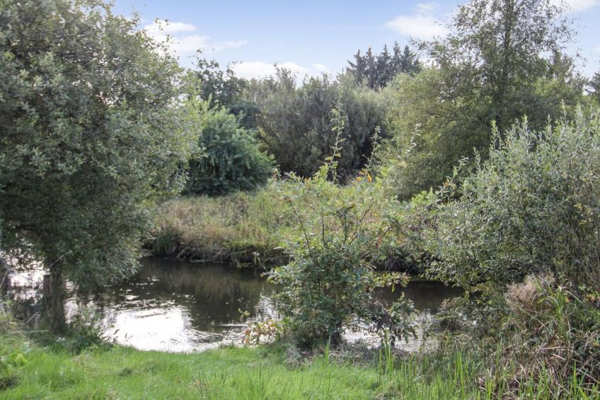 "Terese" - 45km from the sea in Western Jutland - foto 3