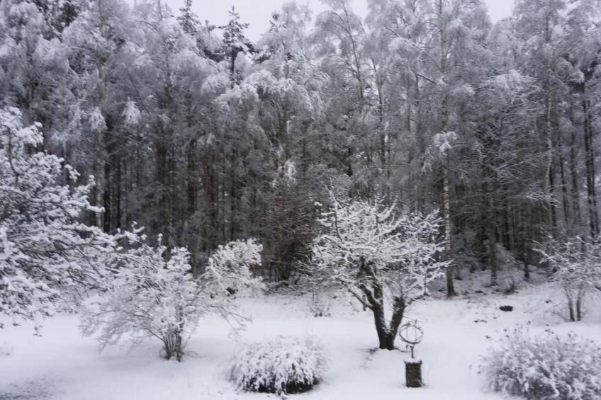 Haus am Waldrand - foto 15