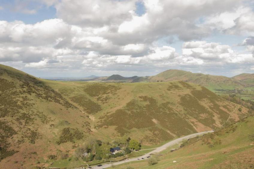 Netley Hall - Peach Tree - foto 18