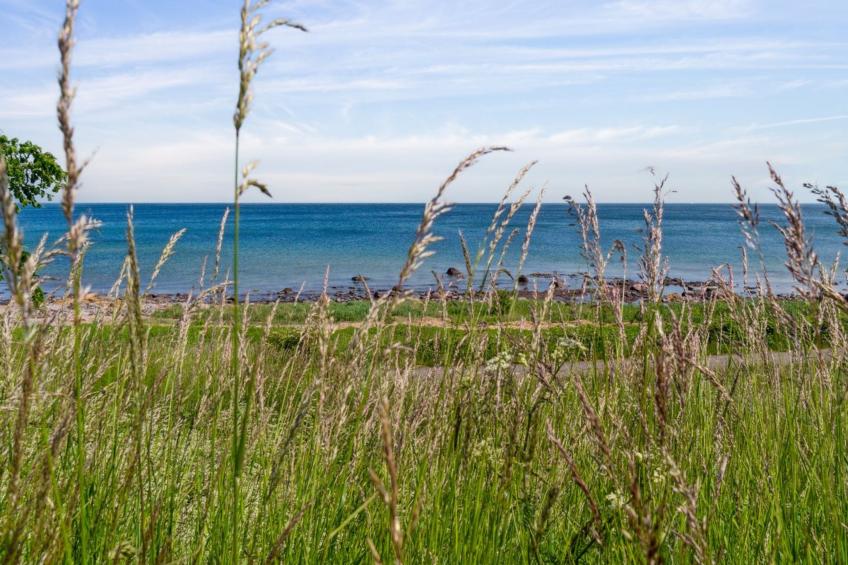 "Ayo" - 75m from the sea - foto 22