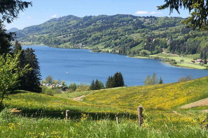 Fewo Holzer - foto 18