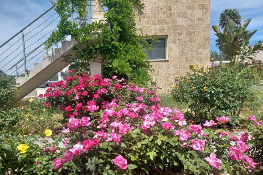 'Casa Favolosa' zwischen Meer und Landschaft - foto 15