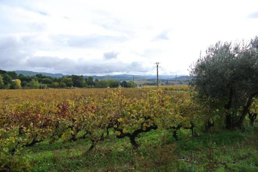 Maison de vacances - LE THOR - foto 28