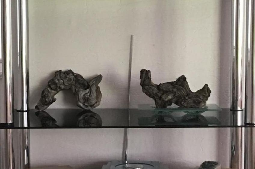 in Oberlahr mit Großem Garten - foto 21