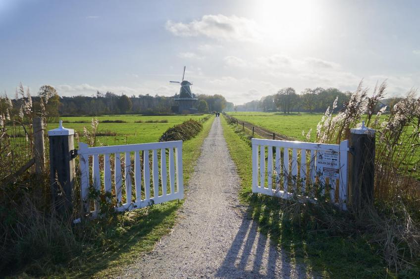 Vacation home Balkbrug - foto 17
