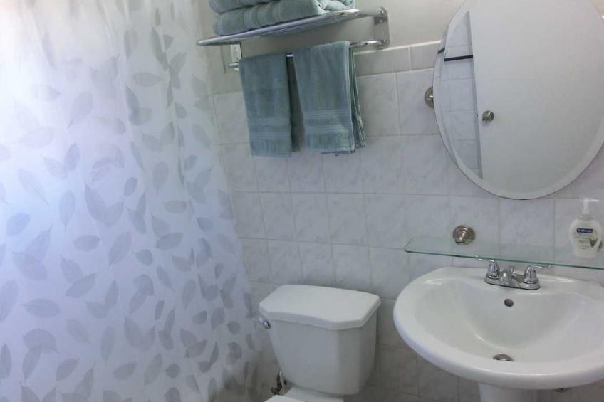 Wohnung mit Terrasse - foto 18