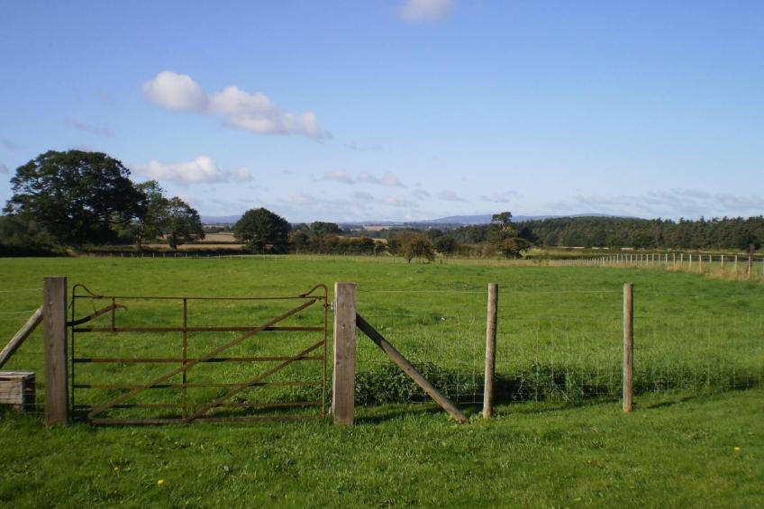 Duken Hof Ferienhaus - foto 15