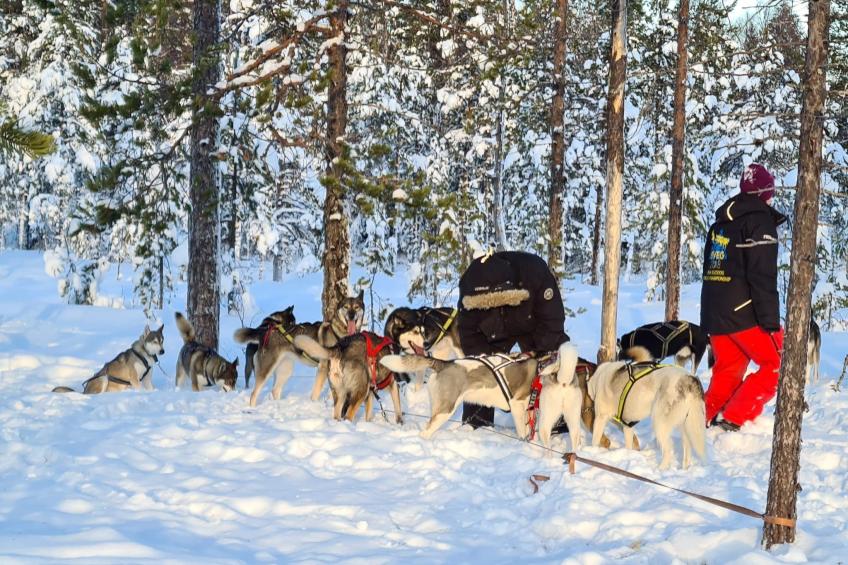 Ölrun Stuga - foto 45
