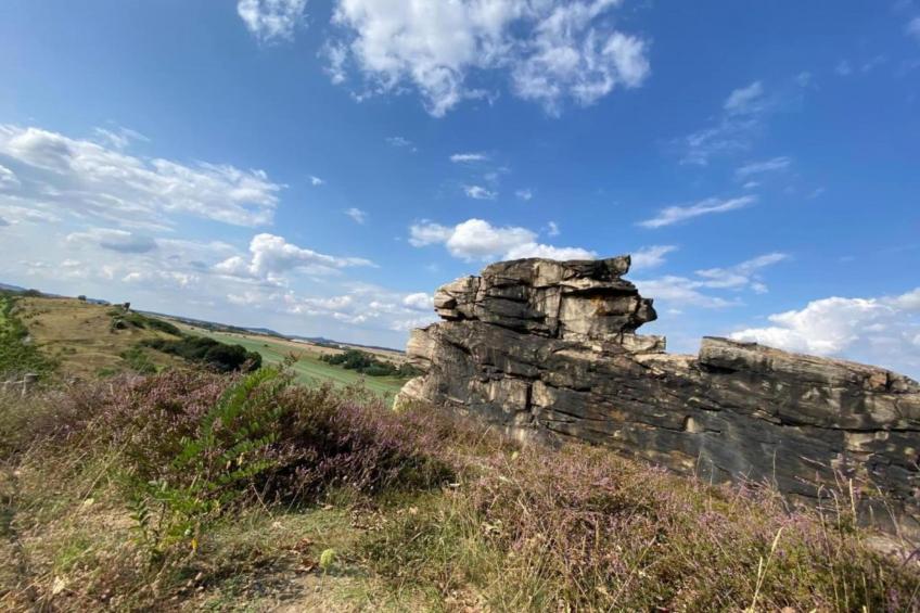 Ballenstedt - foto 26