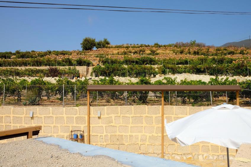 Finca Buenos Aires - foto 22