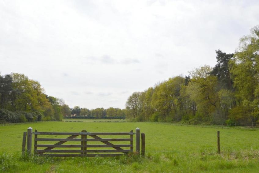 Bungalow 87 - foto 23