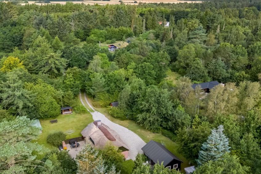 "Hilaria" - 2.1km from the sea - foto 3