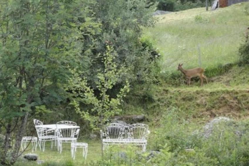 Schweiz Chalet,Grächen,St.Niklaus bis 10 Person - foto 25