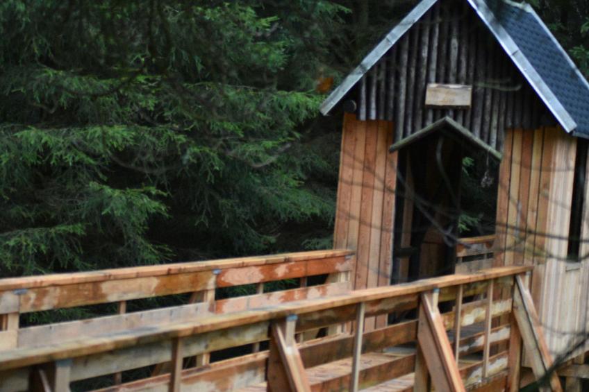 FeWo Siebert - foto 32