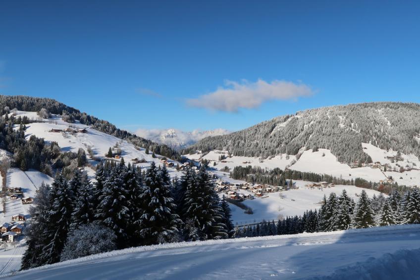 Chalet Edelweiß - foto 65