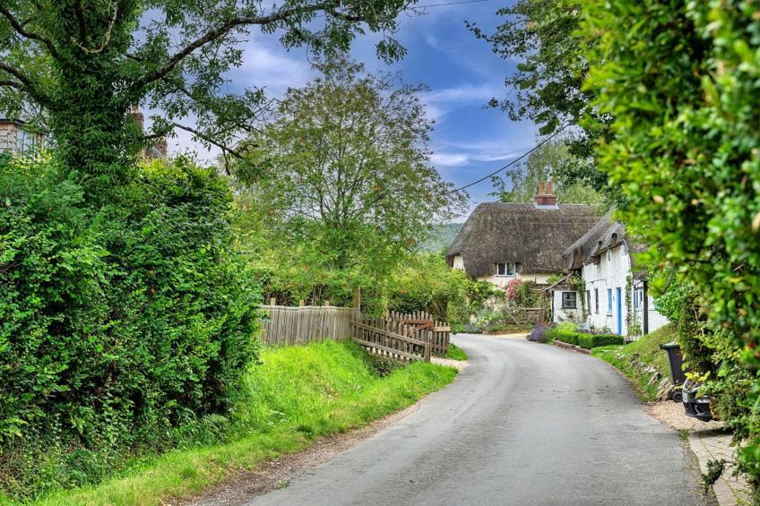 The Thatch at Winterborne Houghton - foto 38
