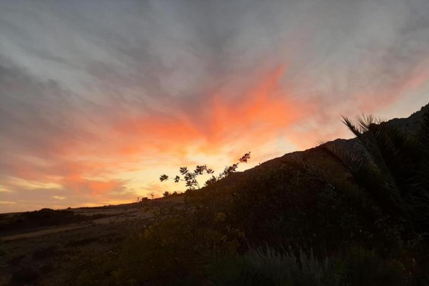 Cortijo Los Alazores - foto 30