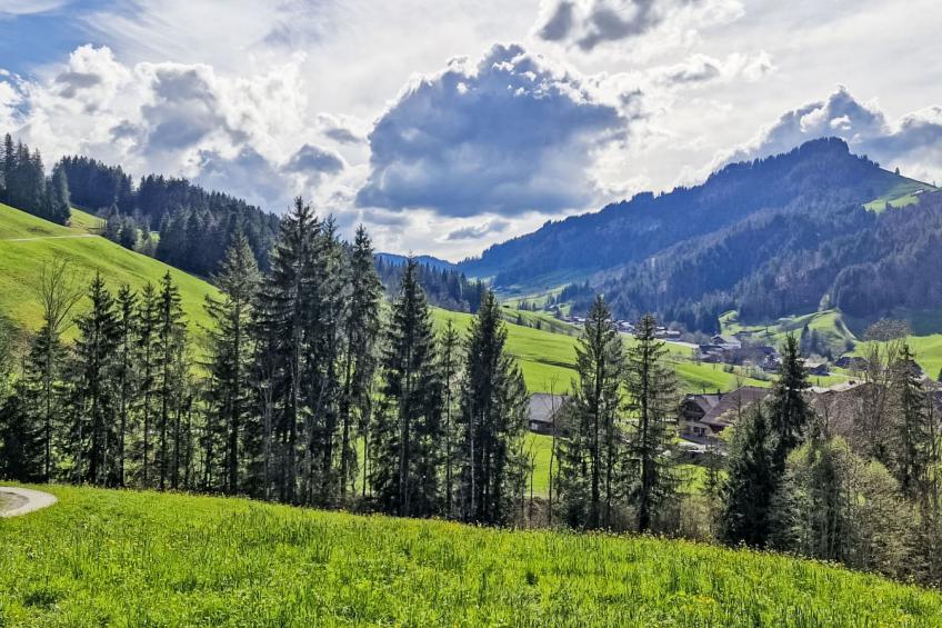 Rüttimätteli - foto 20