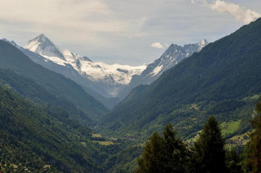 Mayens de l'Ours AZ 032 - MOUNTAIN apartment 6 p - foto 14