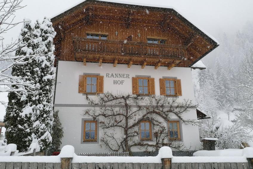 Reißkofel in Steinfeld - foto 26