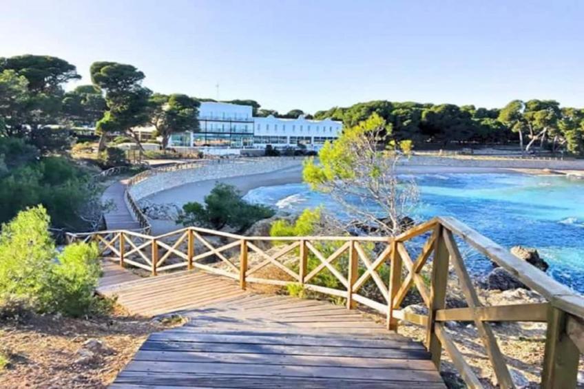 COSSIS 61B - foto 39