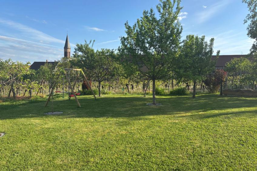 "Gîte des Cigognes" (Storchenhaus) - foto 13