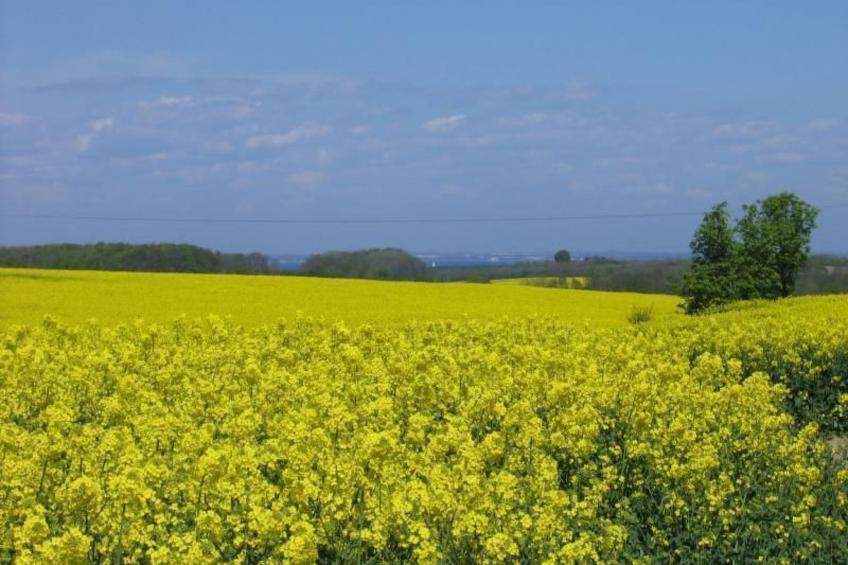 Lovely Place - foto 10