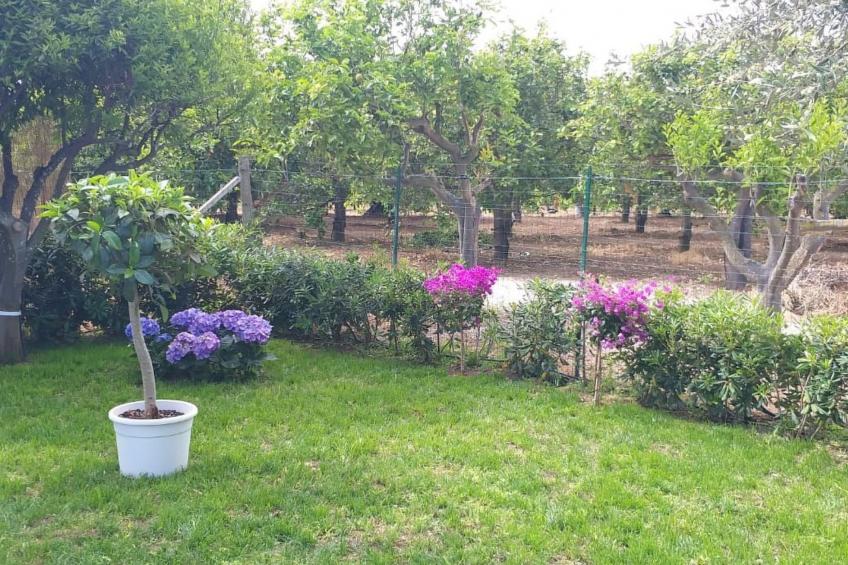 'Federica' - foto 28