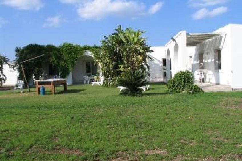 Cuore di Palme Bilo - foto 8