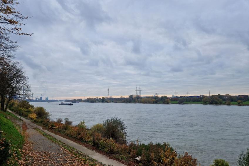 Fewo am Rhein - foto 18