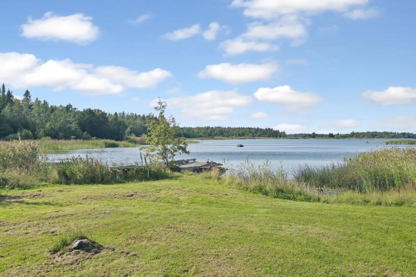 Merenkurkku - foto 6