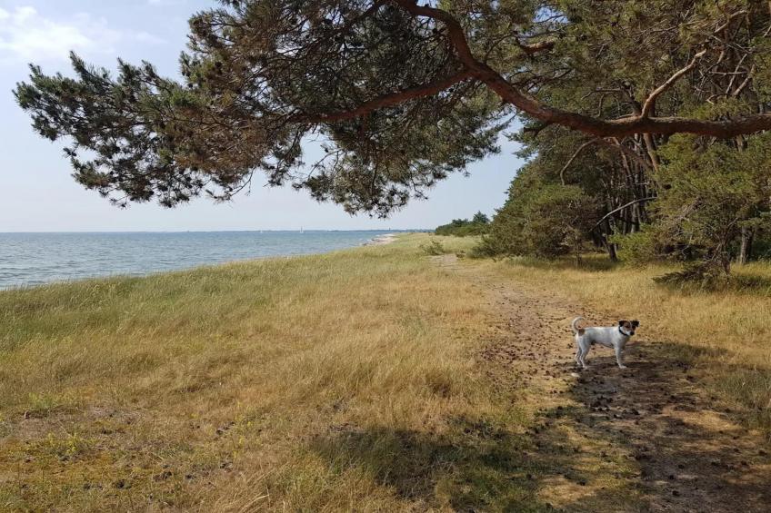 Gutshaus Zicker -Wohnung 3 - foto 21