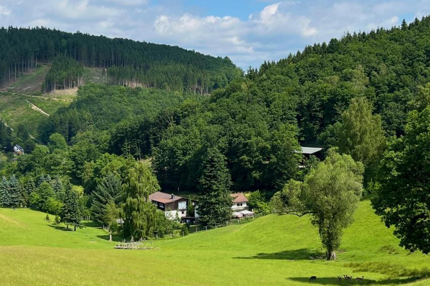 Am Damwildgehege II - foto 30