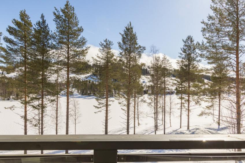 Villa ukkohalla - foto 28