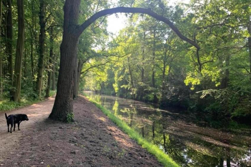 Hof van Craeck II - foto 34