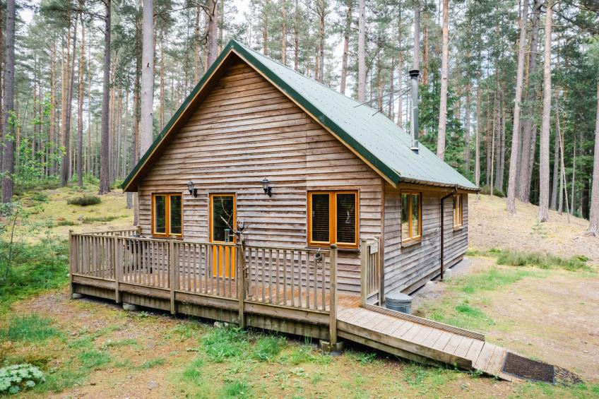 Pine Marten Lodge - foto 23