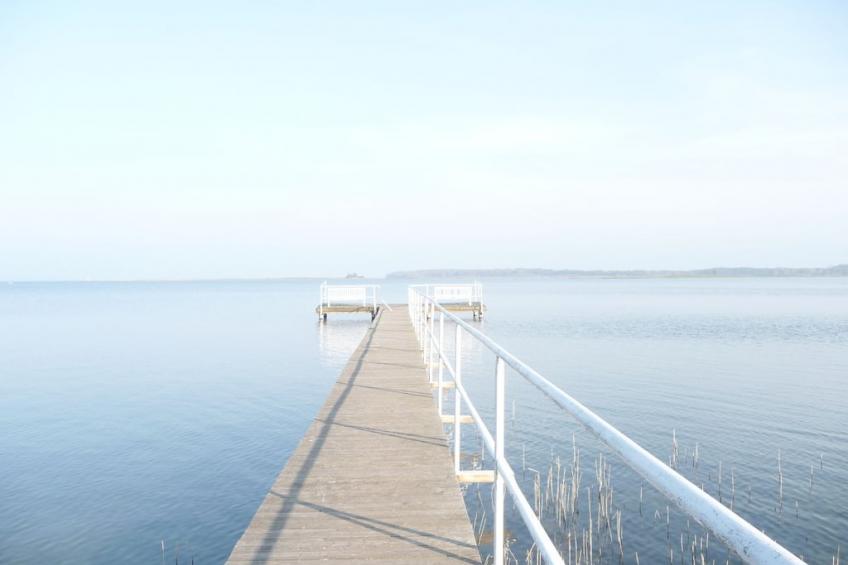 255364 - foto 28