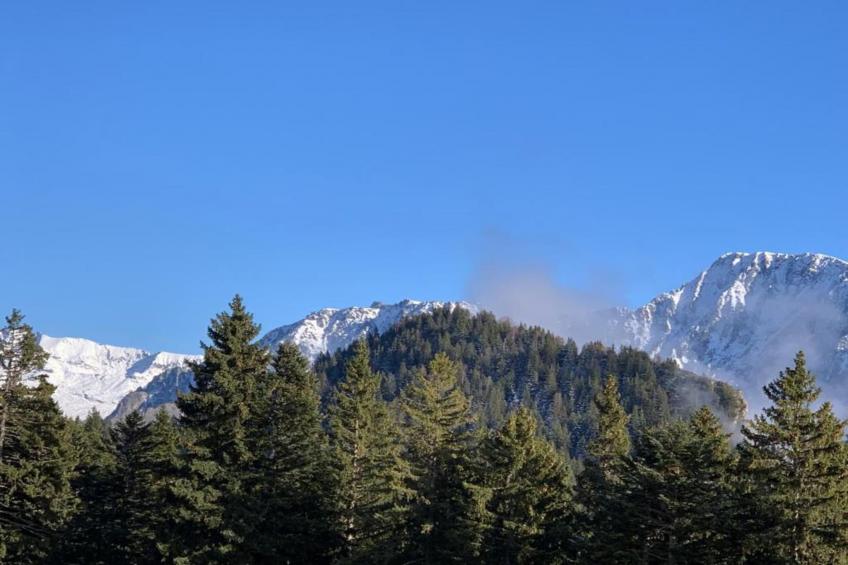 V du Bachat Arolles A N°21 - 4P8 - foto 40