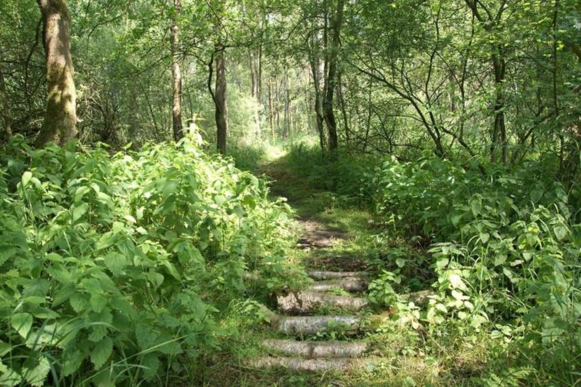 Halseweg 54 - foto 33