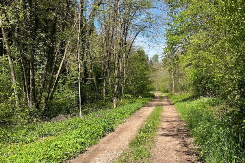 Haus Sonnenschein - foto 40
