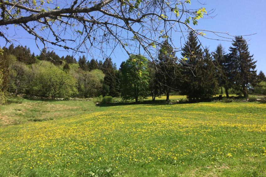 Domaine "Les Vieilles" mit Terrasse und Garten - foto 14