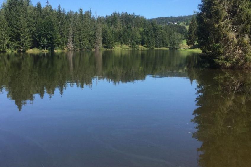 in Frauenberg mit Garten - foto 18