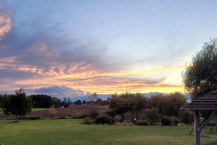 mit Terrasse - foto 23