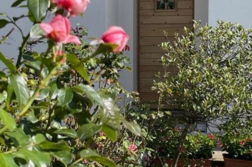 in Aiguebelette-Le-Lac mit Garten, Terrasse und Grill - foto 31