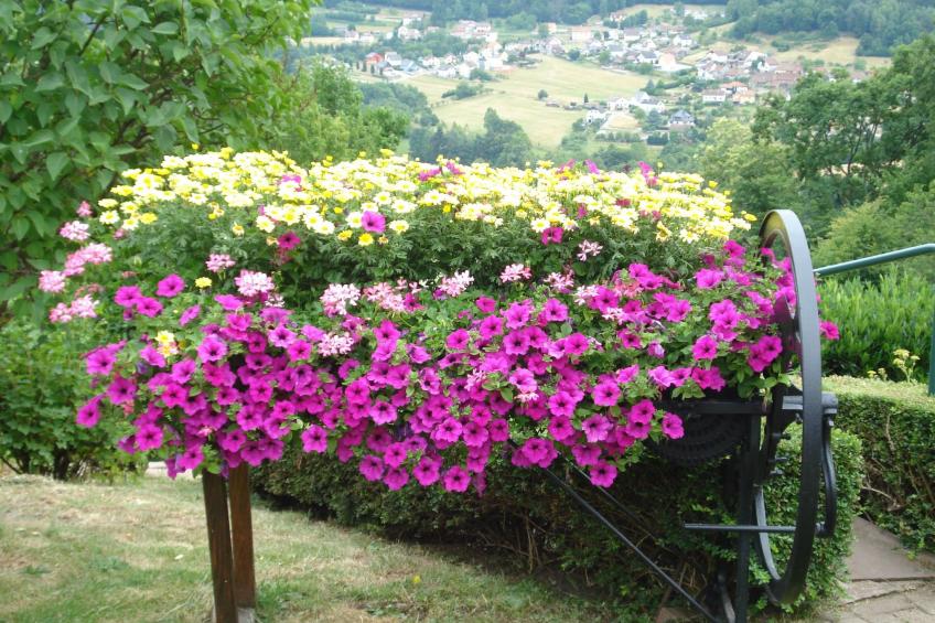 Das Gîte Fleuri mit einer herrlichen Aussicht - foto 23