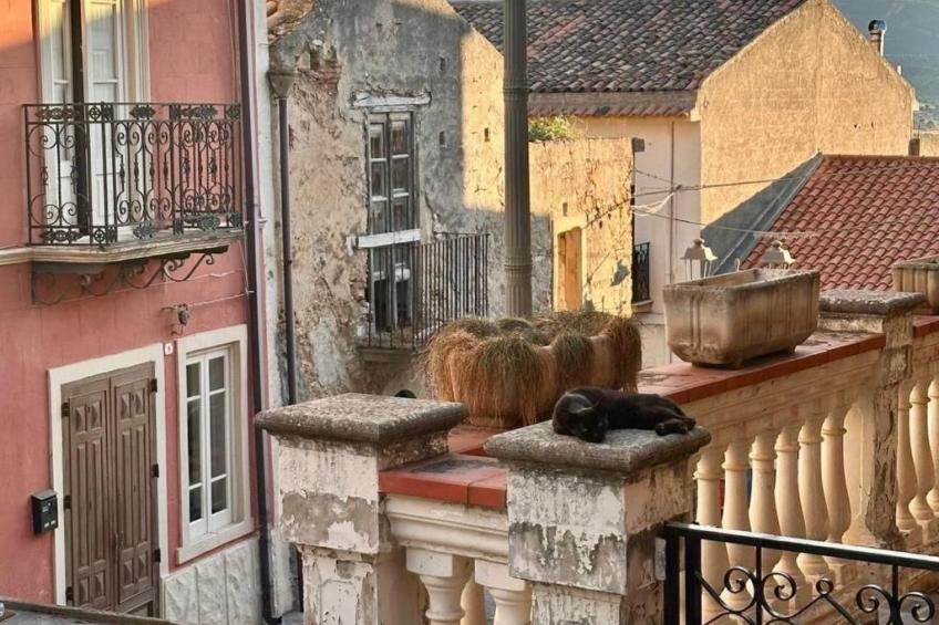 'The Garden - foto 40