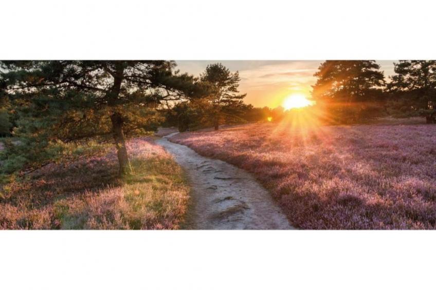 Heivlinder 4p - foto 30