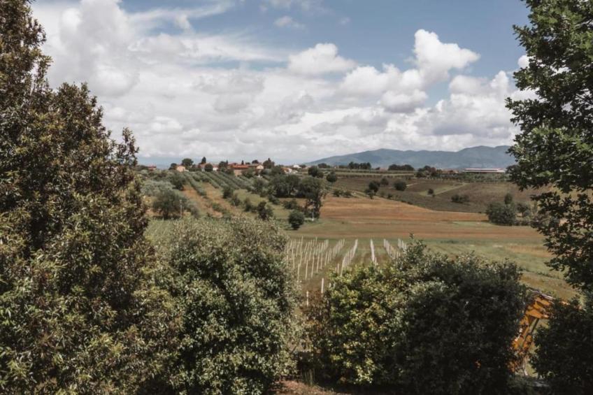 Castagno del Riccio - foto 24