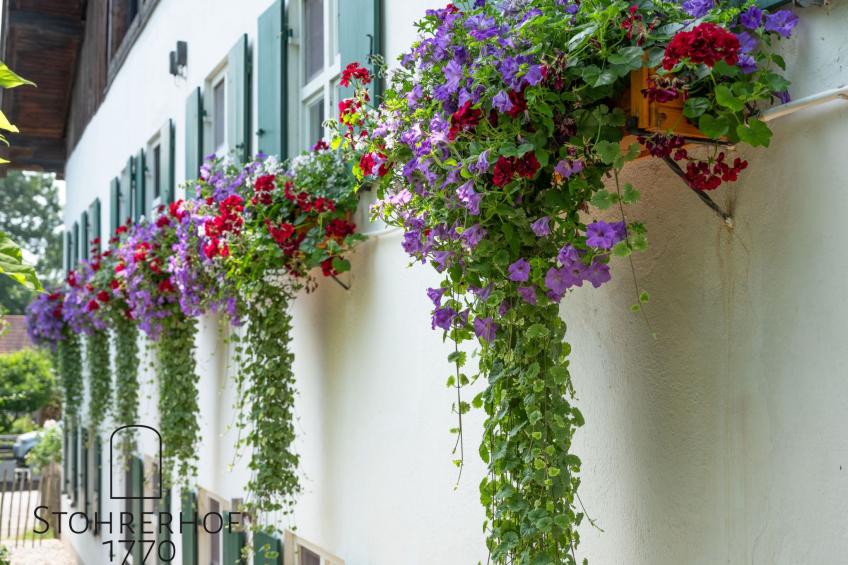 in Riederau mit Großem Garten - foto 8